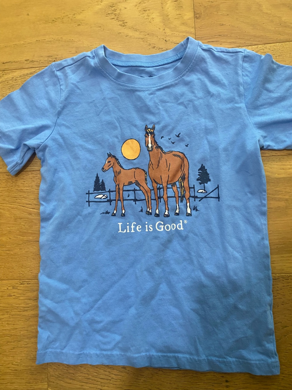 Life is Good Kids' Cotton Blue Horse Graphic Crusher Tee M EUC